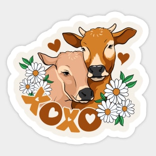 Xoxo Cow Love Sticker